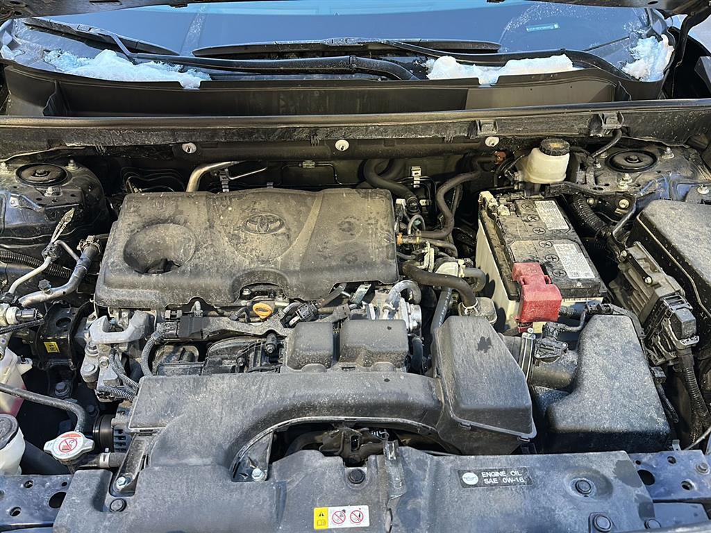 Used 2025 Toyota RAV4 XLE with VIN 2T3P1RFV1SW508527 for sale in Winona, Minnesota