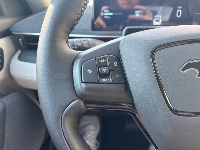 2025 Ford Mustang Mach-E Premium photo 17