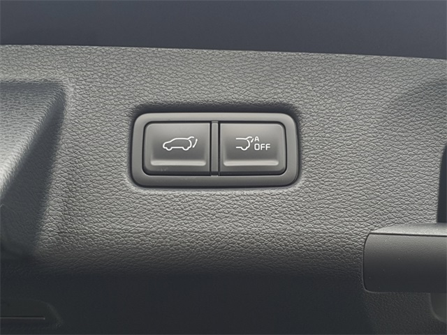 2025 Kia Telluride EX X-Pro photo 7