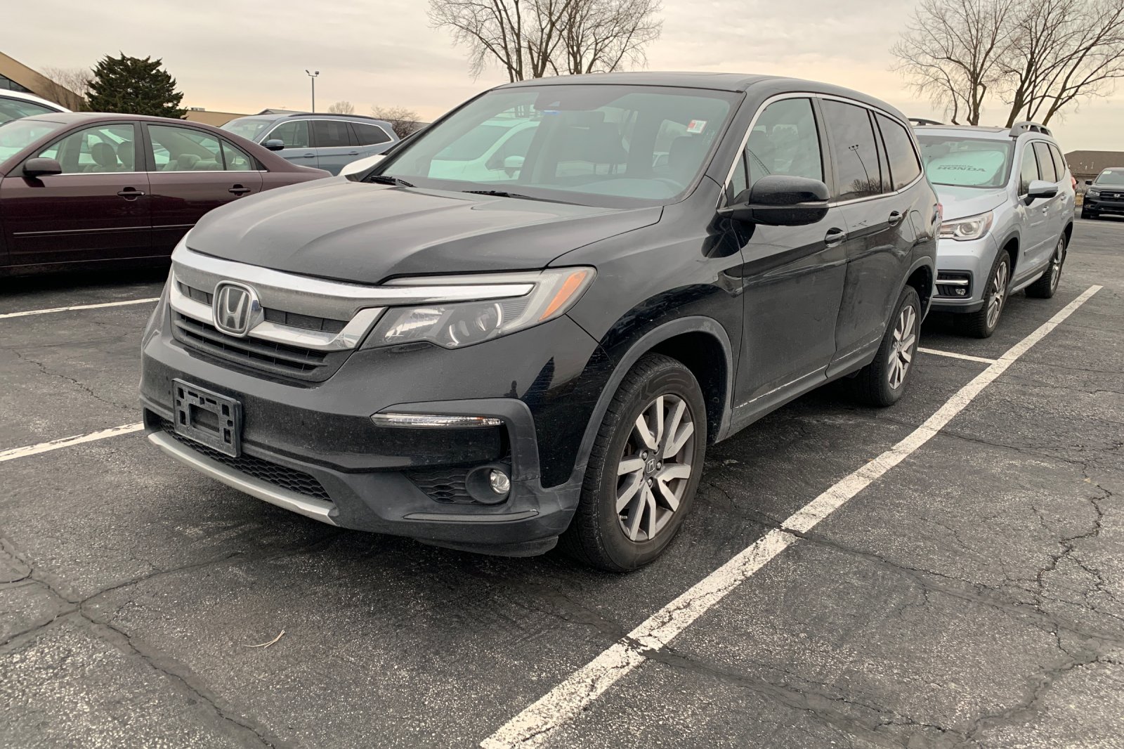 2019 Honda Pilot EX-L's photo