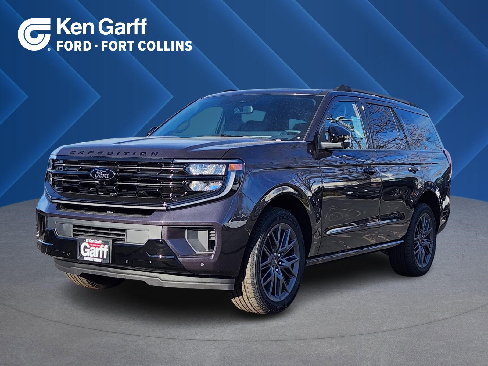 2025 Ford Expedition Platinum's photo