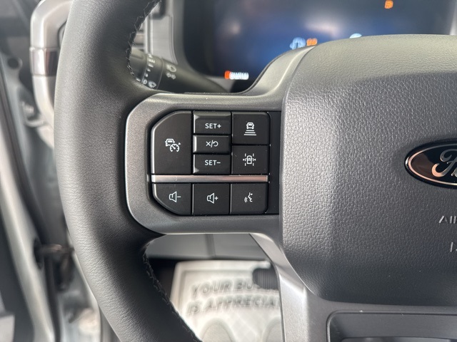 2025 Ford F-150 XLT photo 12