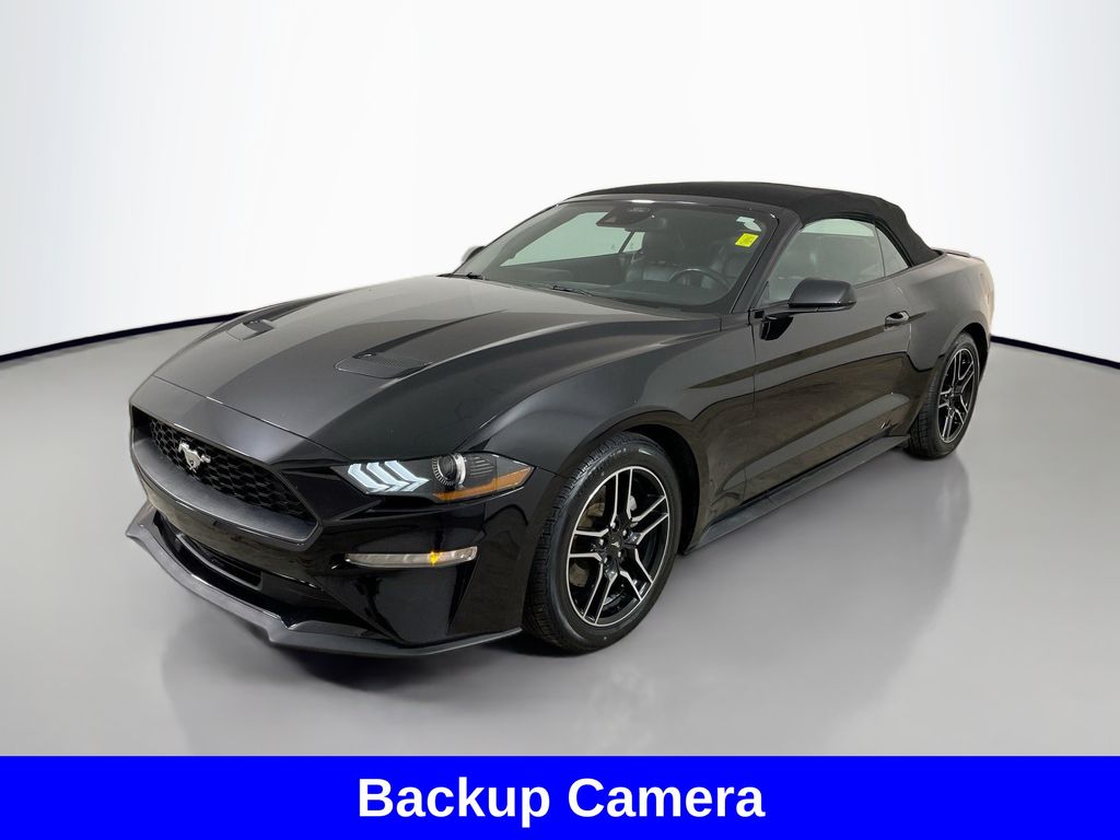 2023 Ford Mustang EcoBoost Premium photo 3