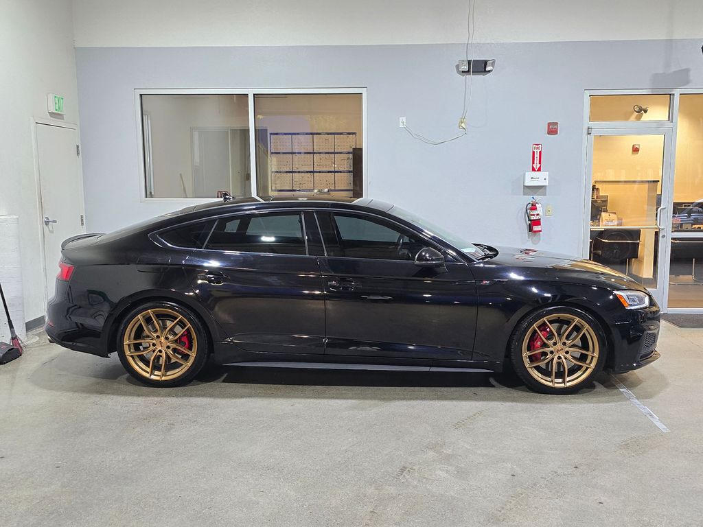 2019 Audi S5 Premium Plus photo 4