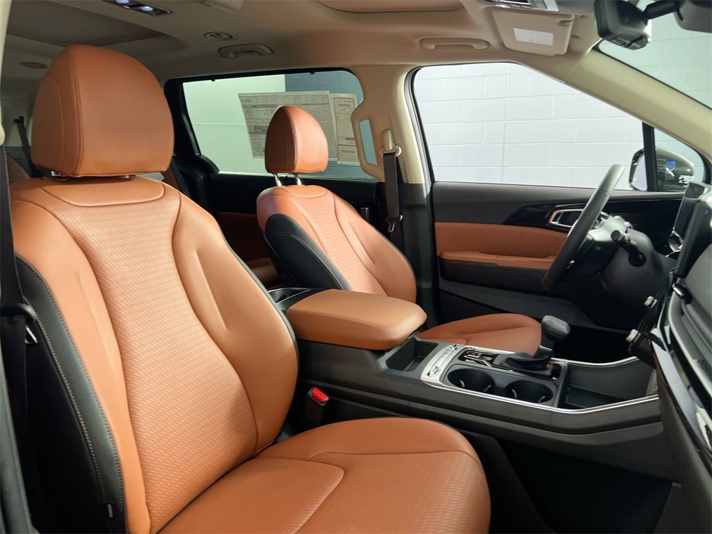 2026 Kia Carnival SX Prestige photo 31