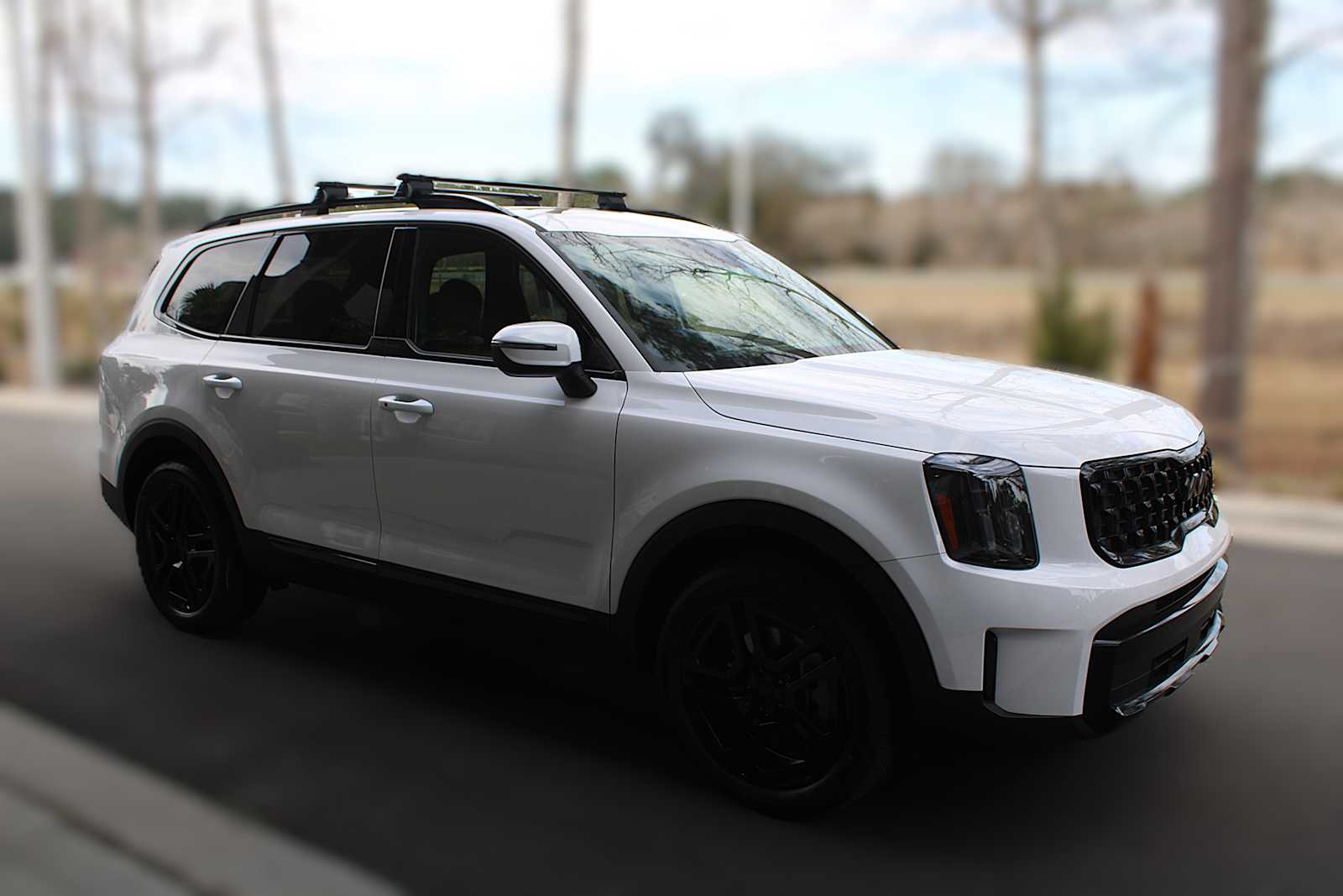 2025 Kia Telluride EX X-Line photo 13