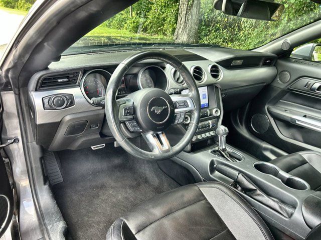 2023 Ford Mustang EcoBoost Premium photo 4