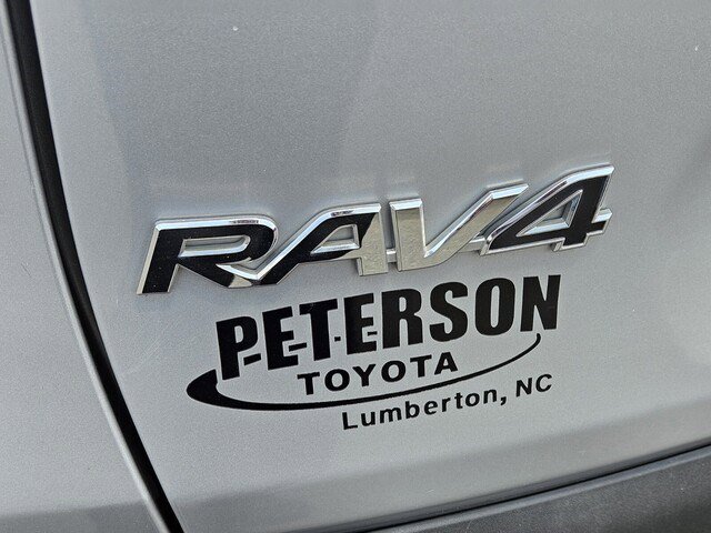 2019 Toyota RAV4 LE photo 15