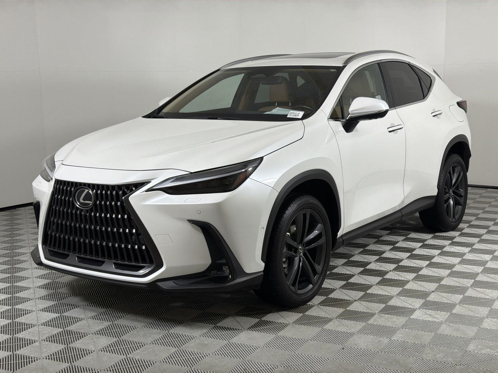 2022 Lexus NX PHEV 450h+'s photo