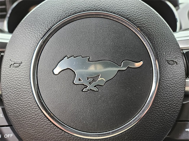 2015 Ford Mustang GT photo 25
