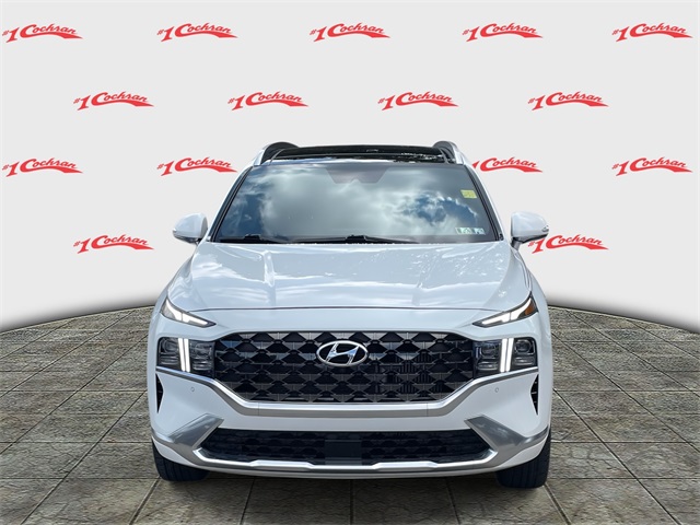 2021 Hyundai Santa Fe Calligraphy photo 8