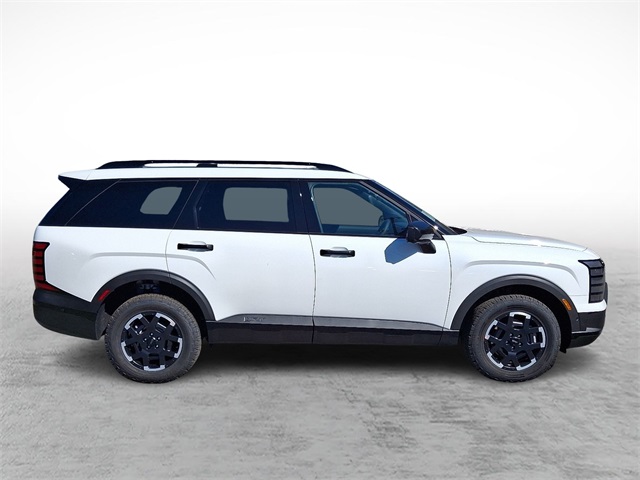 2026 Hyundai Palisade XRT photo 4