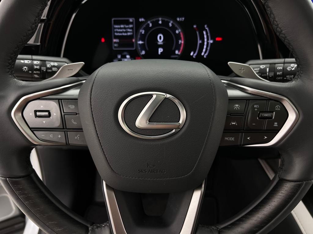 2024 Lexus RX 350 Premium photo 19