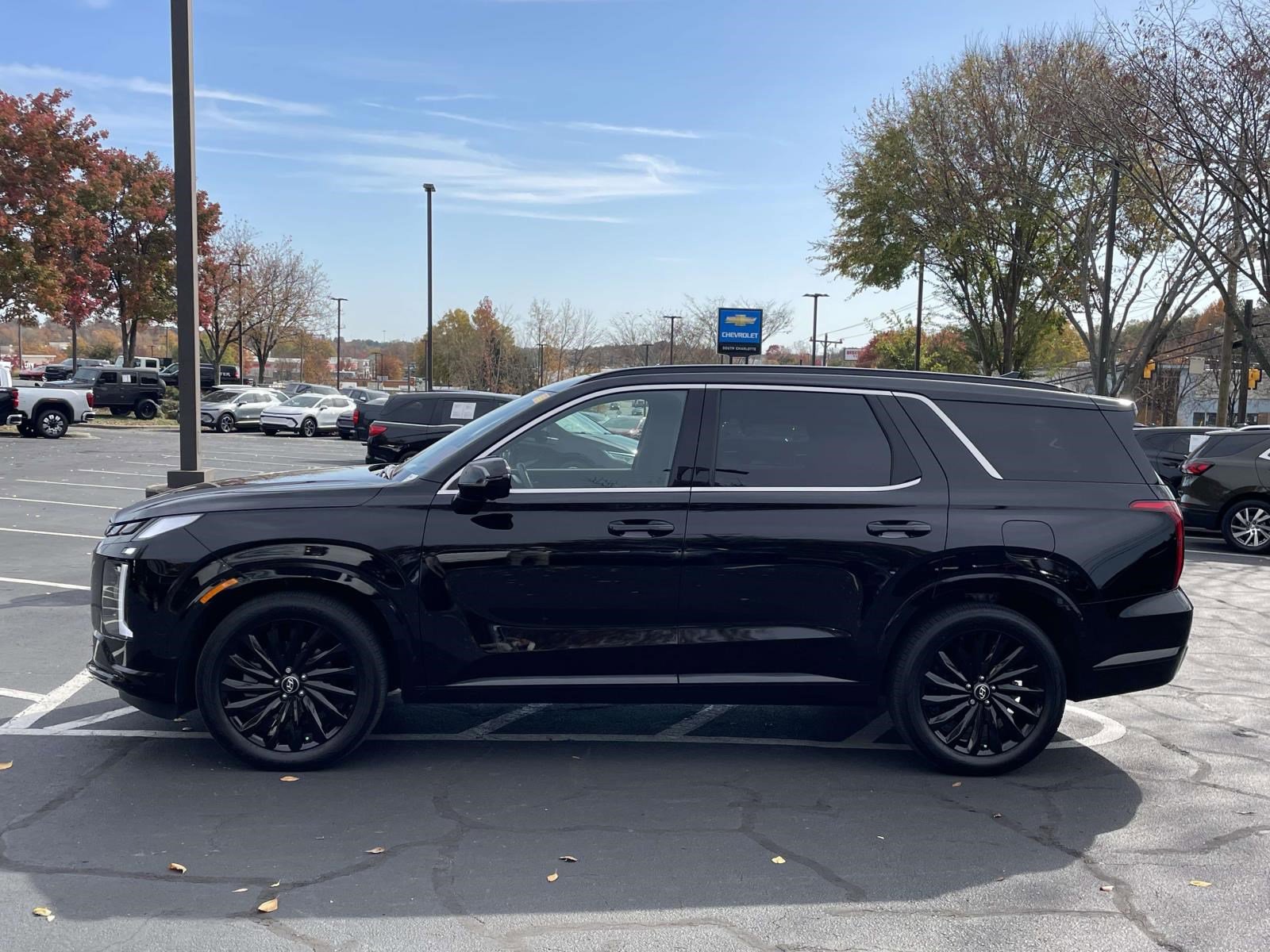 2025 Hyundai Palisade Calligraphy photo 4