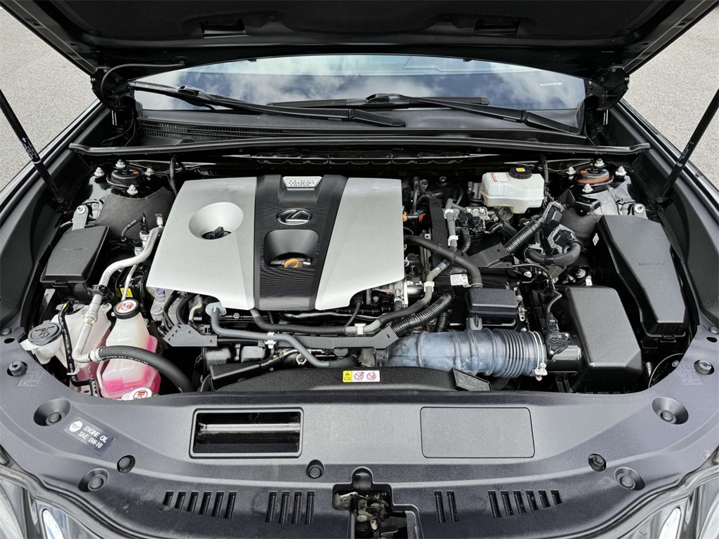 2019 Lexus ES 300h photo 10