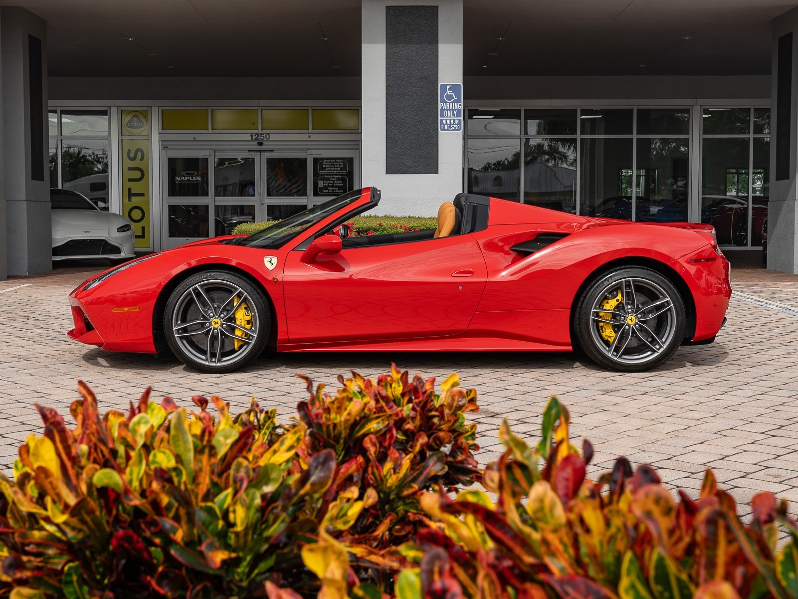 2019 Ferrari 488 Spider photo 6
