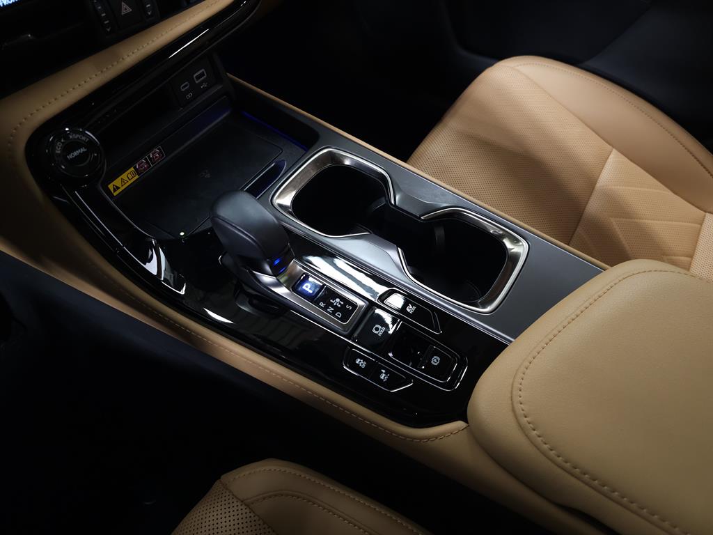 2025 Lexus NX 350h Luxury photo 30