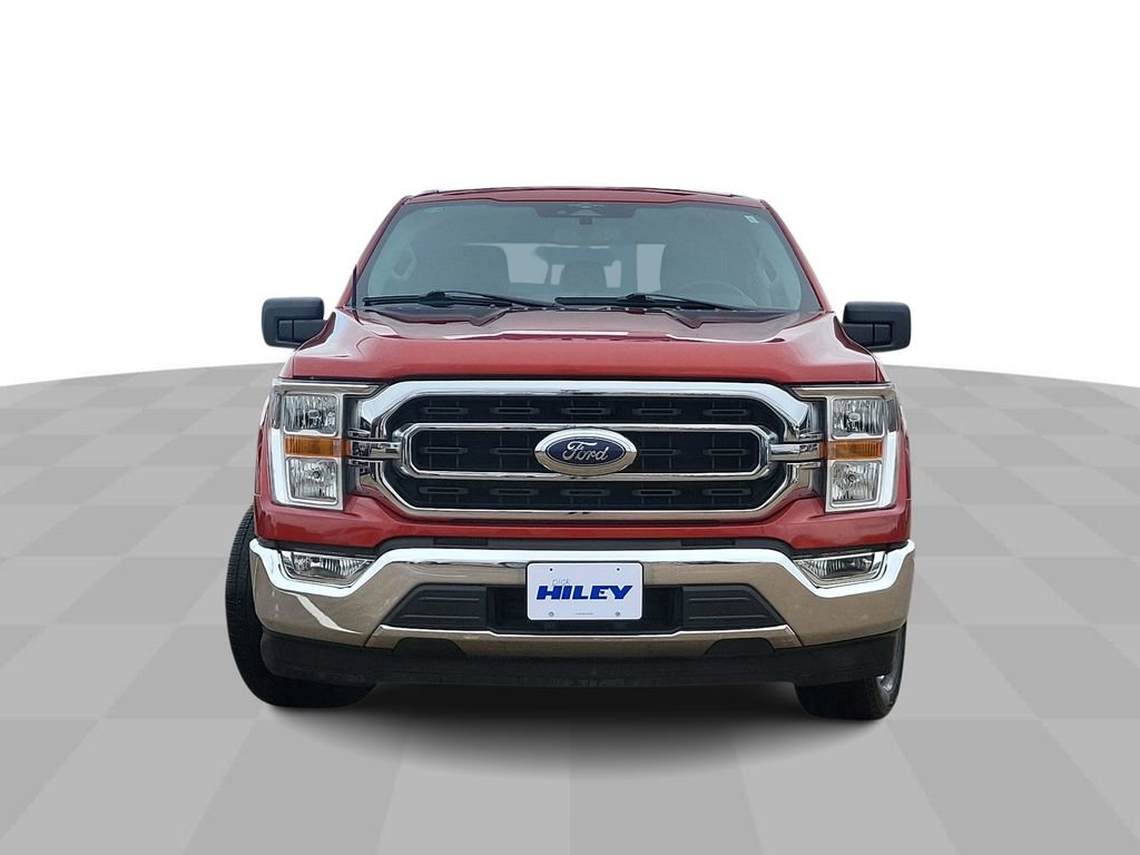 2023 Ford F-150 XLT photo 3