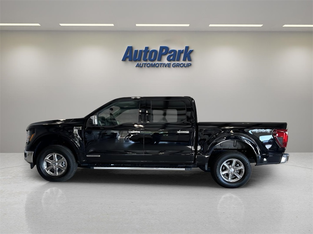 2025 Ford F-150 XLT photo 3