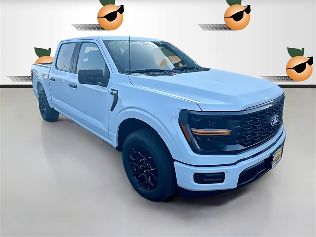 2025 Ford F-150 STX's photo