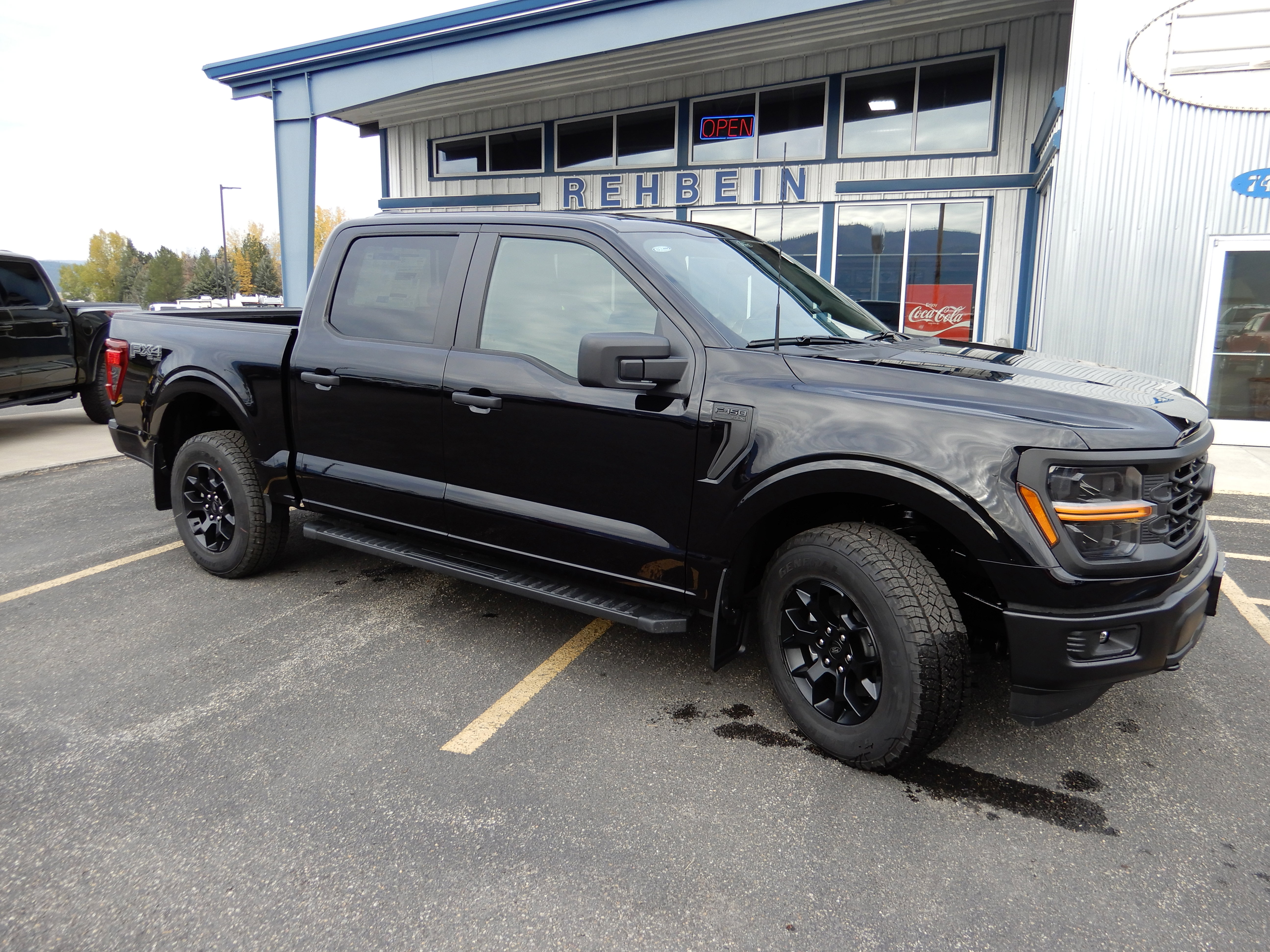 2025 Ford F-150 STX's photo