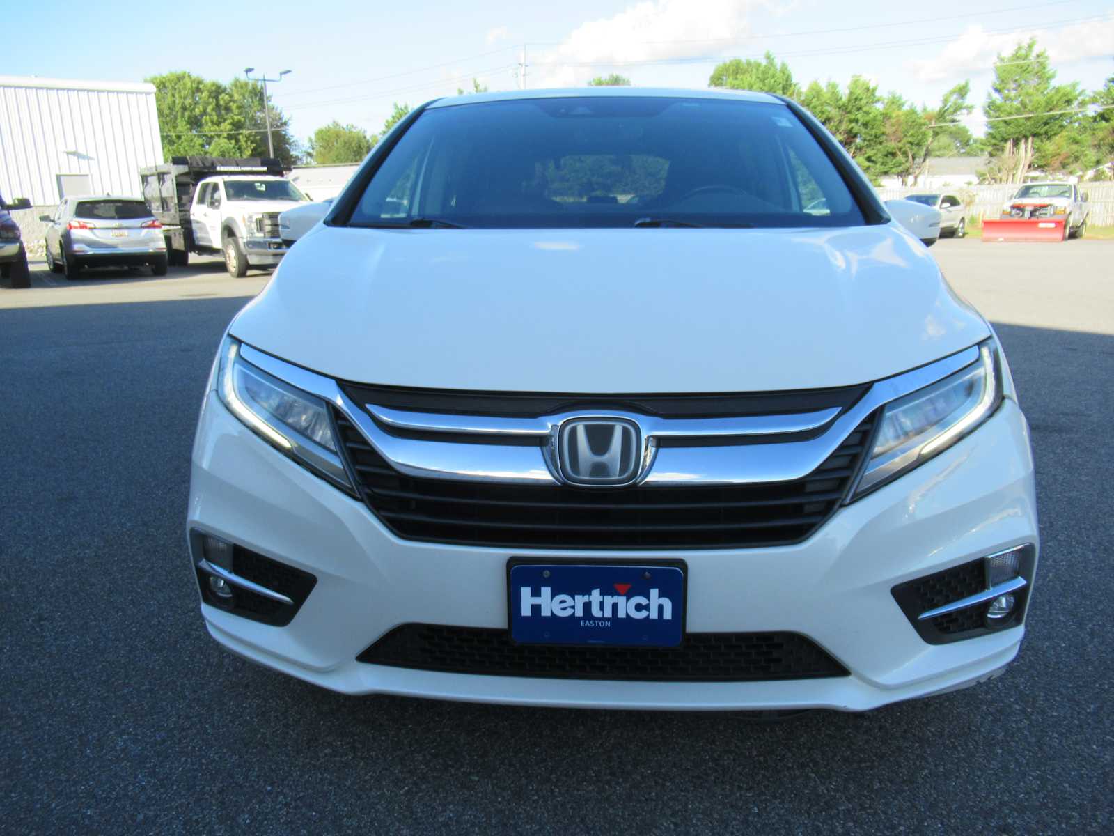2019 Honda Odyssey Elite photo 2