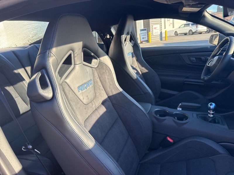 2025 Ford Mustang Dark Horse photo 13