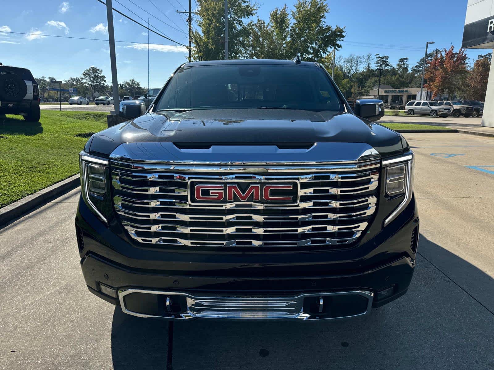 2025 Gmc Sierra 1500 Denali photo 2