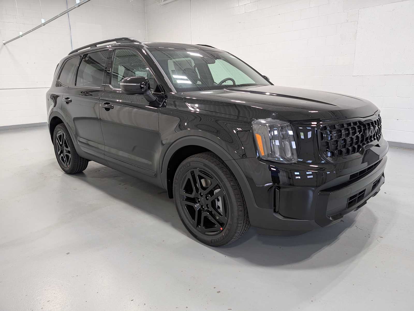 2025 Kia Telluride EX X-Line photo 4