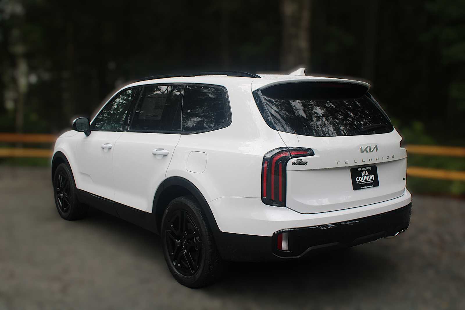 2025 Kia Telluride SX Prestige X-Line photo 6