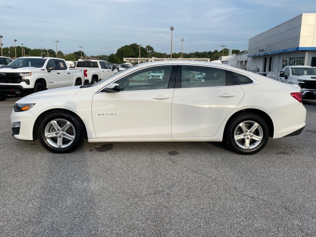 2024 Chevrolet Malibu 1LT photo 4