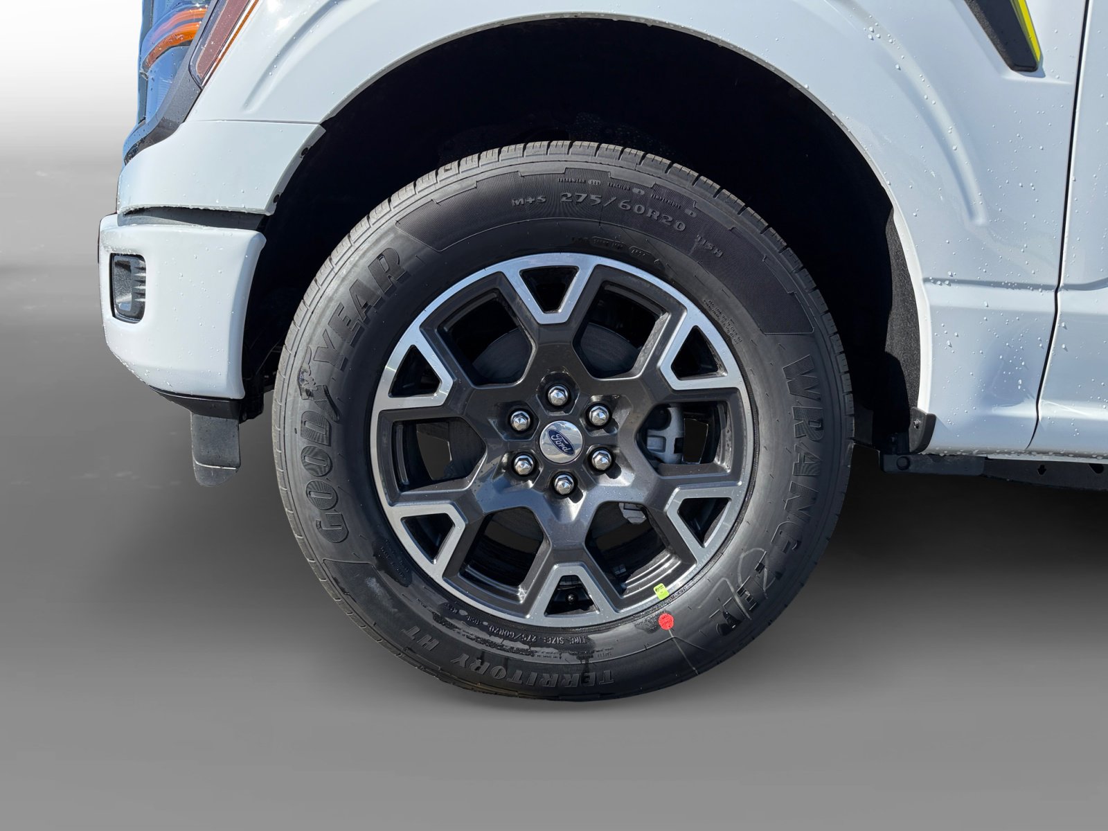 2025 Ford F-150 STX photo 9
