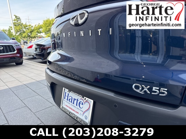 2025 Infiniti QX55 Luxe photo 27