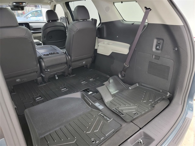 2024 Kia Carnival SX Prestige photo 14