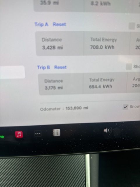 2020 Tesla Model 3 Base's photo