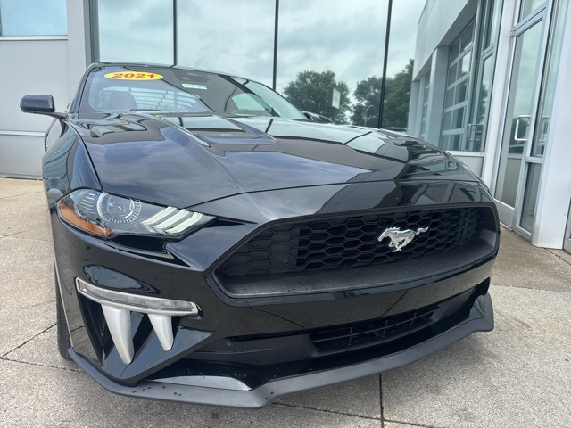 2021 Ford Mustang EcoBoost photo 2