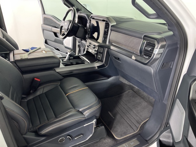 2021 Ford F-150 Platinum photo 15