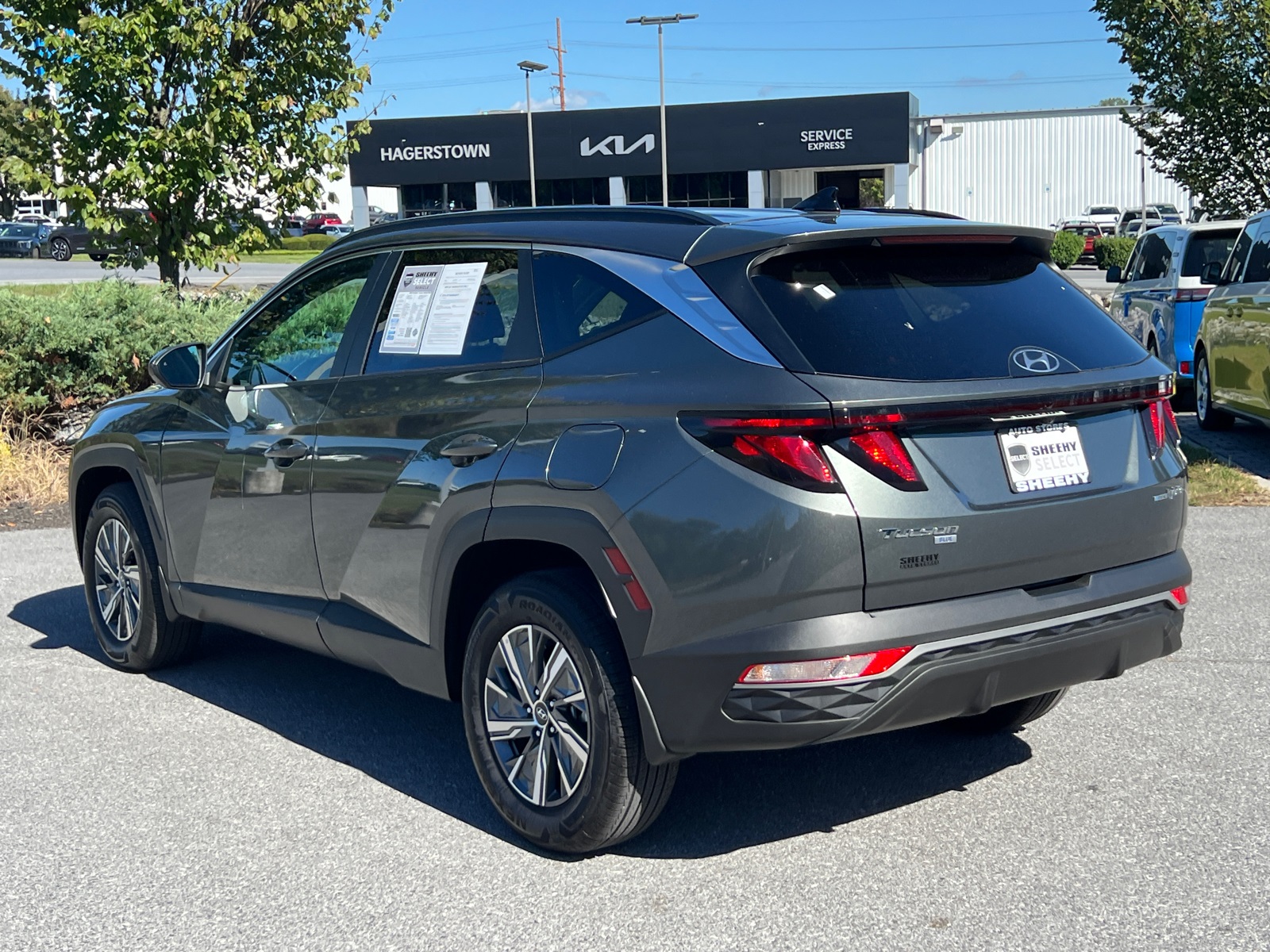 2024 Hyundai Tucson Hybrid Blue photo 2