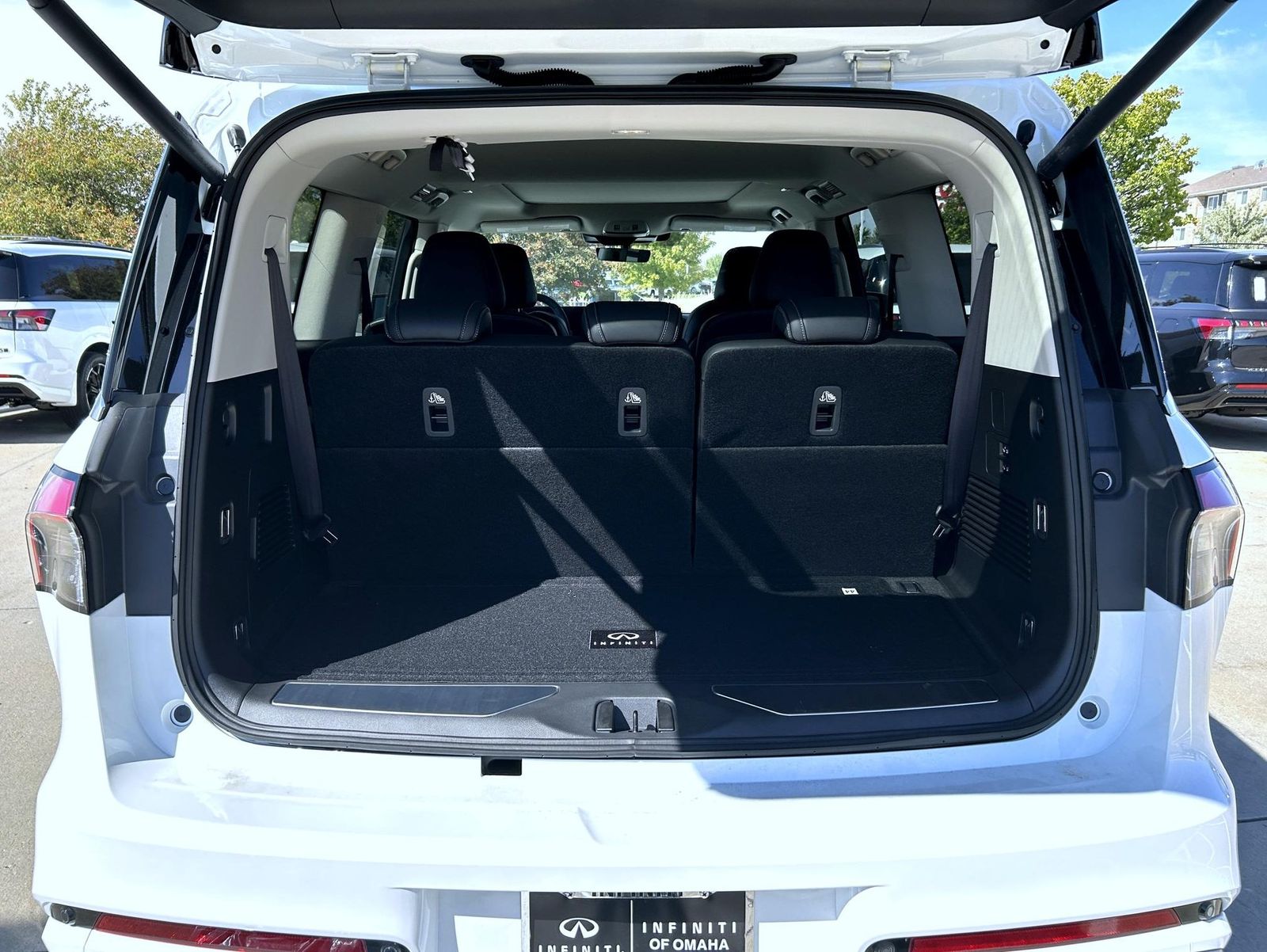 2026 Infiniti QX80 Pure photo 6