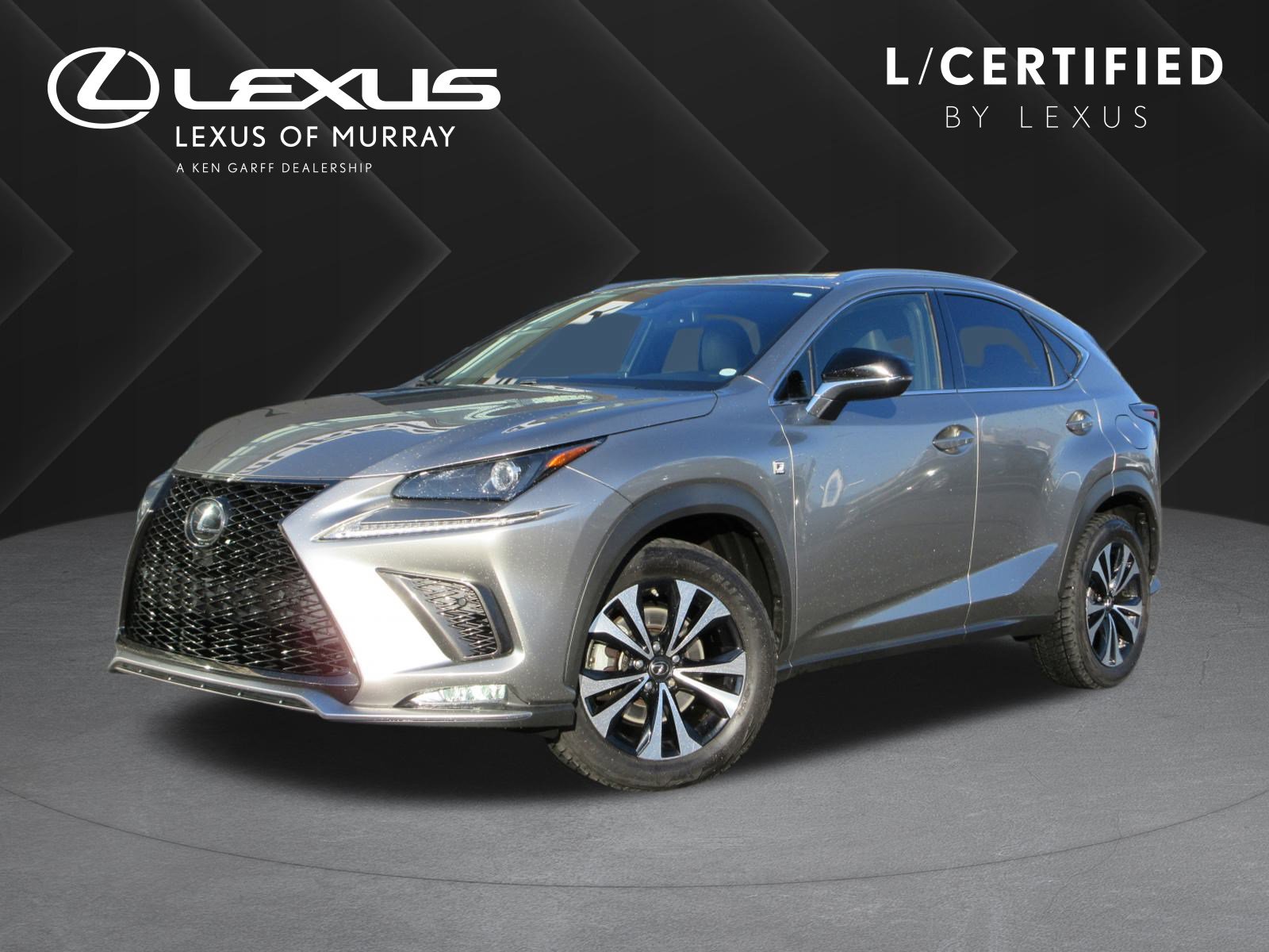 2020 Lexus NX 300 F SPORT's photo