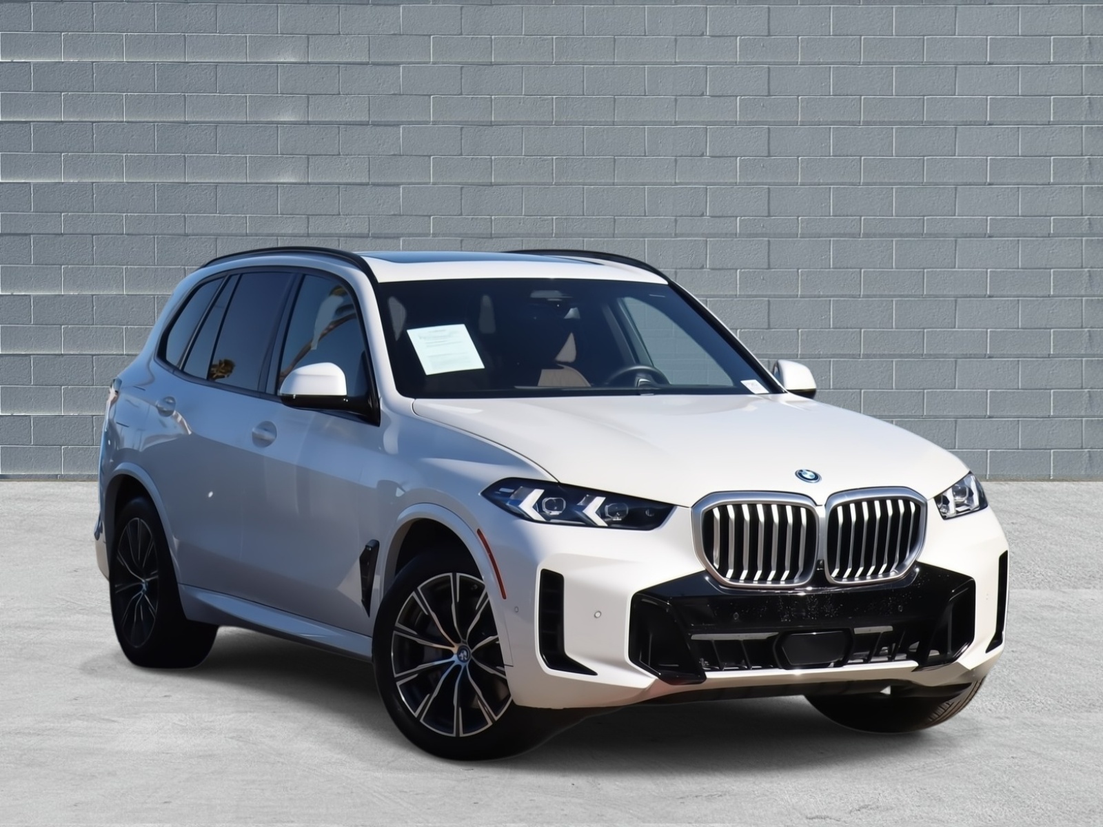 2024 BMW X5 50e's photo