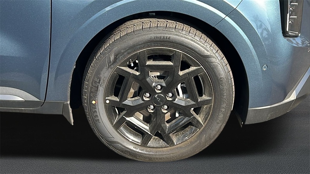 2026 Kia Carnival SX photo 10