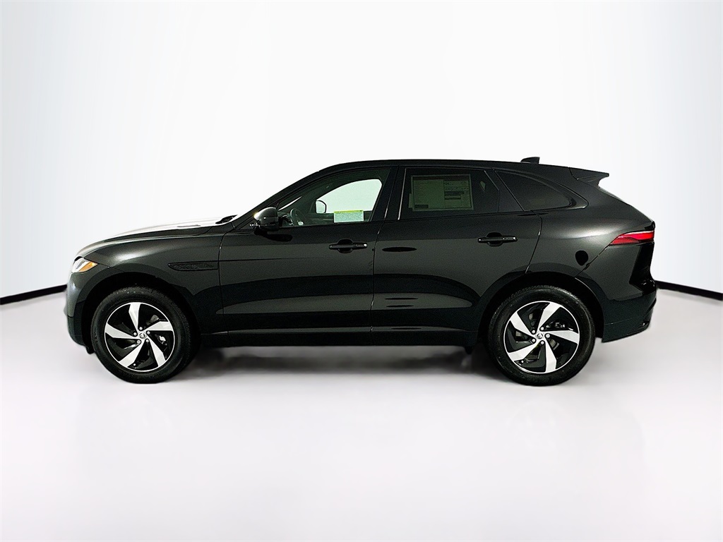 New 2025 Black Jaguar P250 image 8