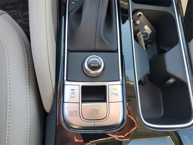 2025 Kia Telluride EX photo 20