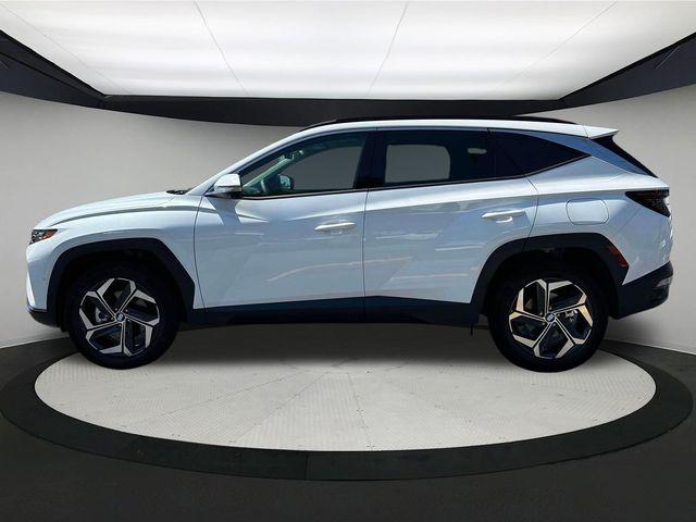 2024 Hyundai Tucson Hybrid Limited photo 3