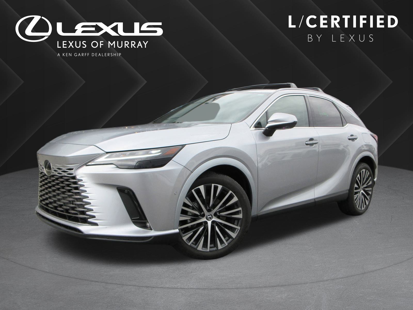 2025 Lexus RX Hybrid 350h's photo