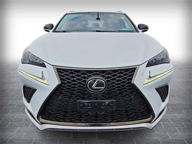 2018 Lexus NX 300 Luxury photo 2