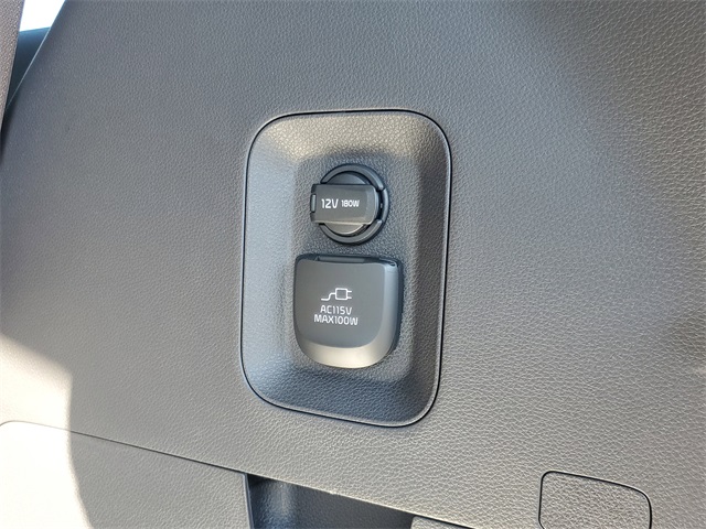2026 Kia Carnival SX Prestige photo 8