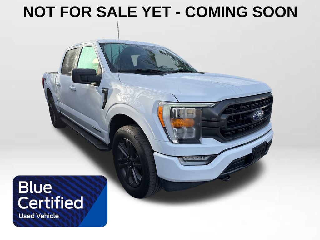 2023 Ford F-150 XLT's photo