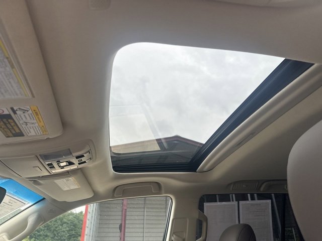 2023 Lexus IS Premium photo 3